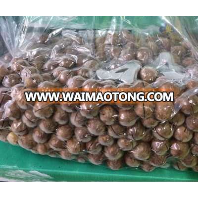 Raw macadamia nut